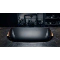 Капот RENAULT THALIA/SYMBOL II, 10.08-10.13